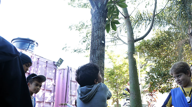 Crianças do Curumim descobrindo as árvores do Sesc Campo Limpo. <br> Fotos: Ronaldo Domingues