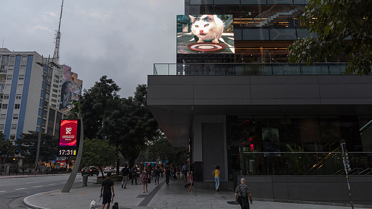 A obra Büsi na fachada do Sesc Avenida Paulista | Foto: Everton Ballardin