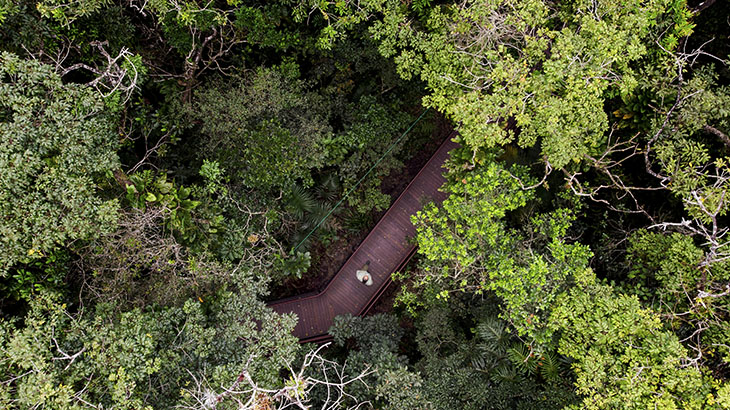 Trilha do Sentir na Reserva Natural Sesc Bertioga | Ignacio Aronovich