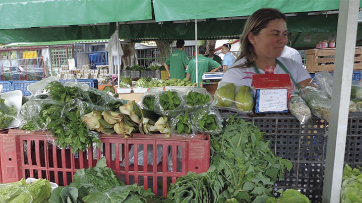 Feira de alimentos orgânicos: mercado cresce perto de 30%  ao ano / Foto: Regina Abreu