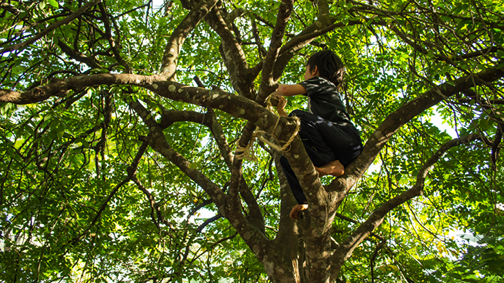 Menino escala árvore no Jardim das Brincadeiras, no Sesc Interlagos. Foto: Gustavo Faria