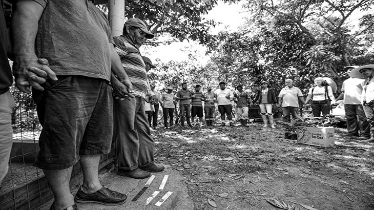 Foto: Lucas Lacaz Ruiz, dez/2019. Implantação de SAFs no Assentamento Nova Esperança, em SJCampos.