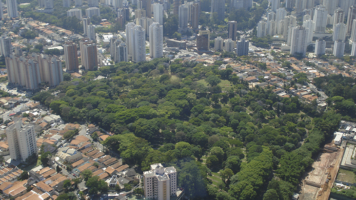 Imagem de área natural em ambiente urbano na zona sul da cidade de São Paulo. Foto - Gabriela Graça