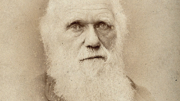 Charles Robert Darwin. Foto: Barraud/Wellcome Collection/Domínio público