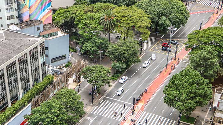 Árvores e ciclofaixa na Avenida Paulista | Foto: Alisson Sbrana
