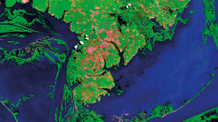 Rio Amazonas, em imagem de satélite / Foto: Inpe