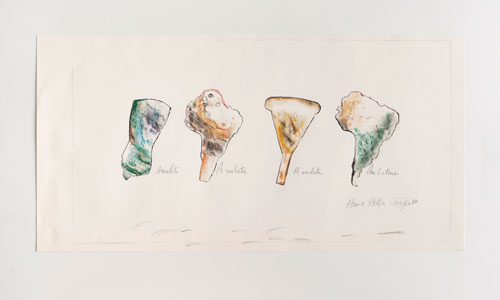 Am. Latina, 1977 Grafite e lápis de cor sobre papel, Coleção da artista