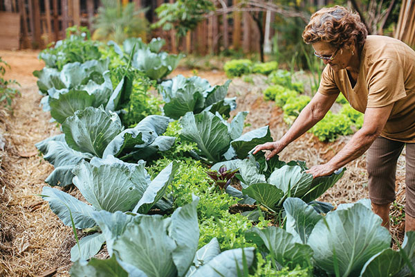 Florisbela de Azevedo Silva, de 74 anos, trabalha em horta do projeto Cidades Sem Fome