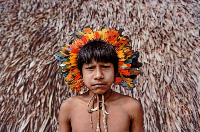 Amazônia Ocupada