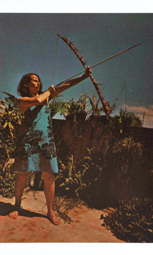 Brasil Nativo/Brasil Alienígena, 1976-1977 Cartões-postais, Coleção da artista