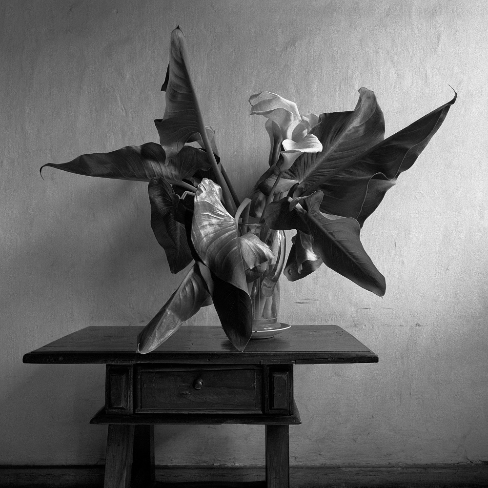 Vaso de flores, Ouro Preto, 1990