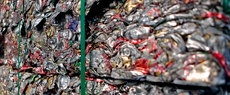 ECOLOGIA: Campeão em reciclagem