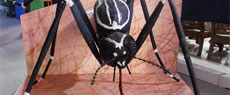 Exposição: Sesc Itaquera recebe exposição interativa sobre a dengue