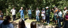 Meio Ambiente: Descubra a Reserva Sesc Bertioga