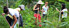 Meio Ambiente: Feira de ideias promove a sustentabilidade no Sesc Itaquera