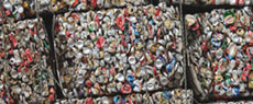 Reciclagem: Quando o lixo se transforma em cifrões