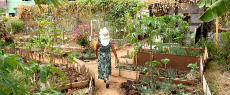 Mulheres do GAU: histórias sobre agricultura urbana e alimentação saudável