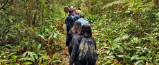 Turismo Social: Onde a selva não é de pedra