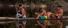 Baré: Cotidiano e imaginário indígenas