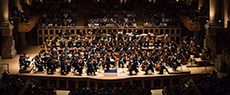 Concerto digital Osesp: nove curiosidades sobre a Nona de Beethoven