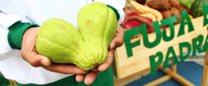 Alimentação: O Dia Mundial da Alimentação 2015 em dez imagens