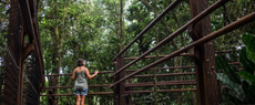 Meio ambiente: Reserva Natural Sesc Bertioga é reaberta para visitação 