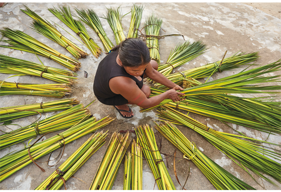 Foto: Pisco Del Gaiso