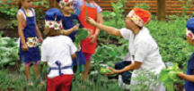 Acciones de Mediación en la Gestión y Mediación Cultural