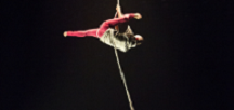 Circo