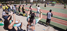 Festivales, Torneos y Campeonatos