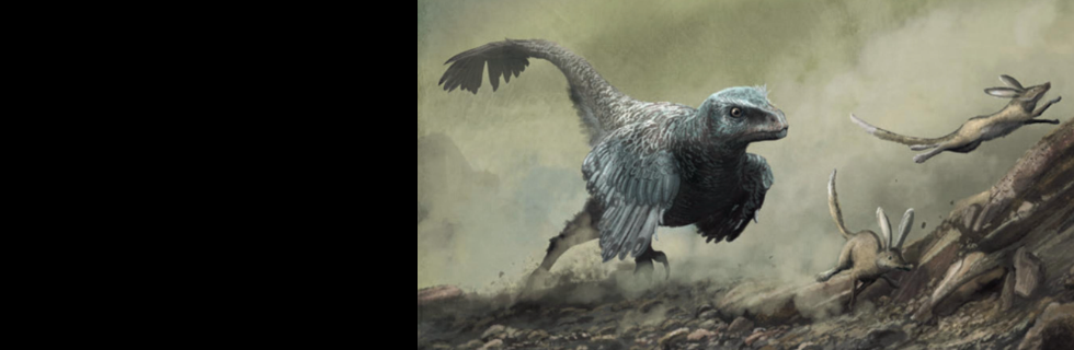 Banner - Destaques da Loja (9)