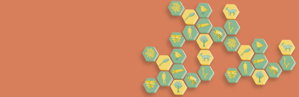 banner biodiversidade