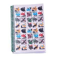 CADERNO AVES