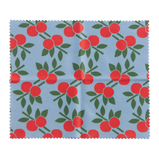 LIMPA-LENTES FRUTA