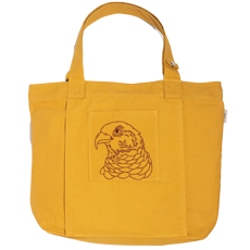 BOLSA ESPORTIVA GAVIÃO