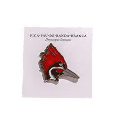 BROCHE PICA-PAU