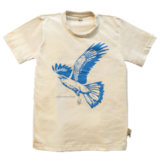 CAMISETA INFATIL GAVIÃO