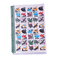 CADERNO AVES