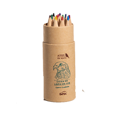 LÁPIS DE COR GAVIÃO <br>12 CORES