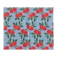 LIMPA-LENTES FRUTA