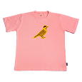 CAMISETA PICA-PAU