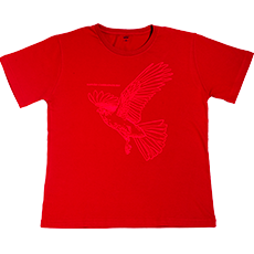 CAMISETA GAVIÃO