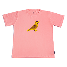 CAMISETA PICA-PAU