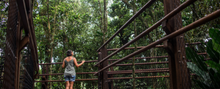Reserva Natural Sesc Bertioga é reaberta para visitação 